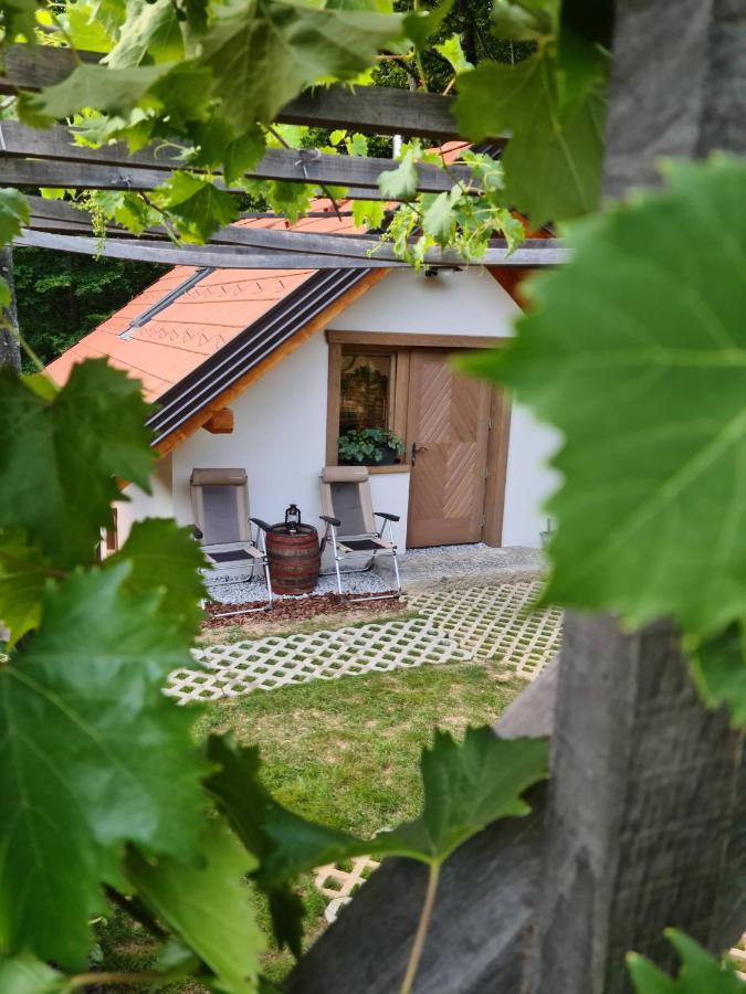 Villa Zidanica Zagar Dolenjske Toplice Esterno foto