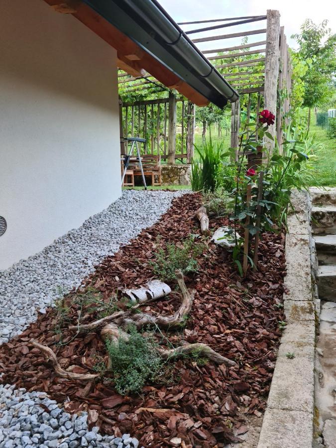 Villa Zidanica Zagar Dolenjske Toplice Esterno foto