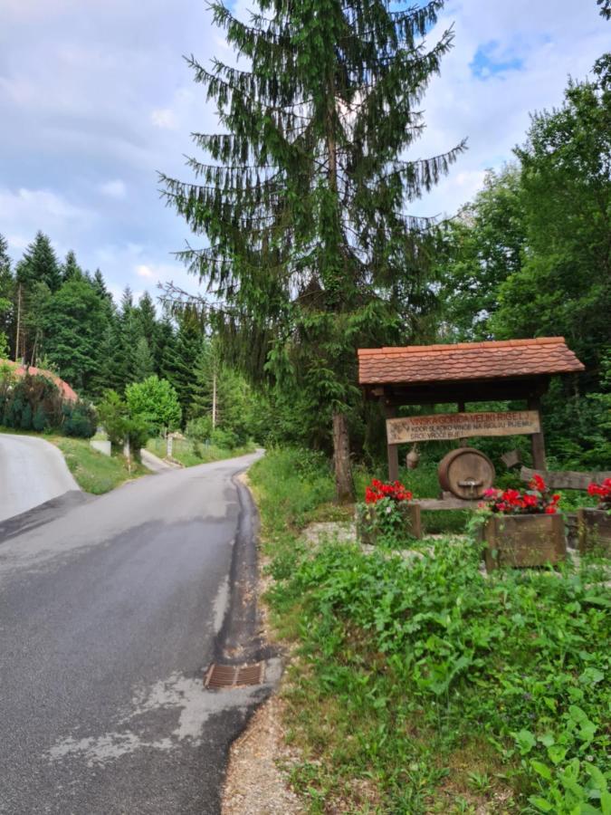 Villa Zidanica Zagar Dolenjske Toplice Esterno foto